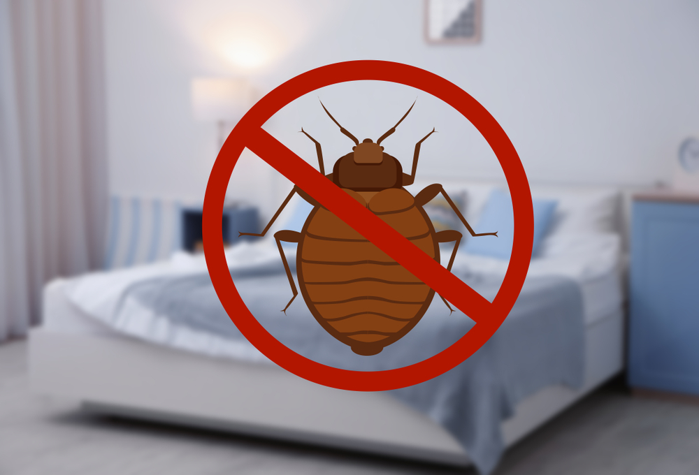 bed bug pest control nyc - company