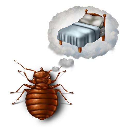 bed bug pest control nyc- service